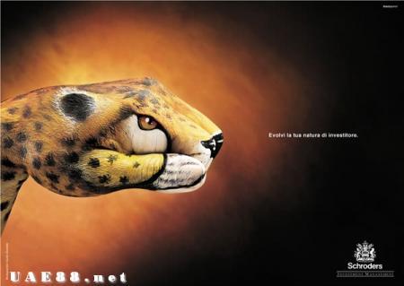 le tigre des doits